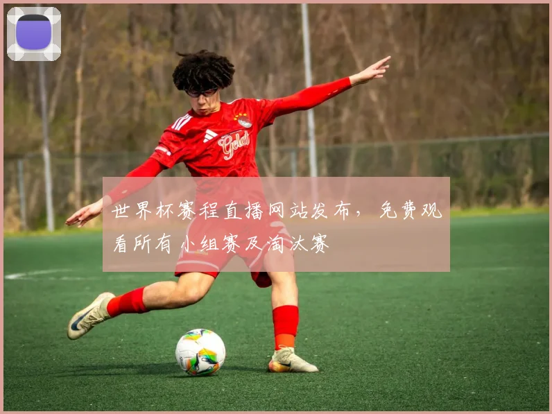 世界杯赛程直播网站发布，免费观看所有小组赛及淘汰赛